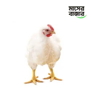 ব্রয়লার মুরগি - kg