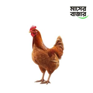 সোনালি মুরগি - kg