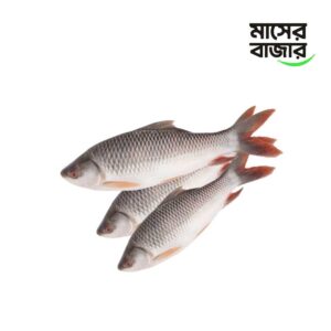 রুই মাছ - ১ কেজি