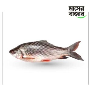 কাতলা মাছ - ১ কেজি