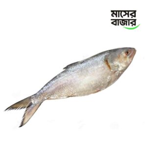 ইলিশ মাছ - ১ কেজি