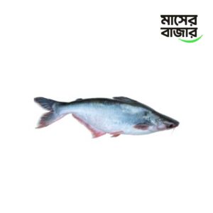 পাঙ্গাস মাছ - ১ কেজি